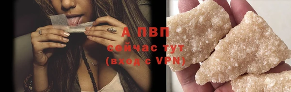 спиды Дмитриев