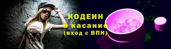 спиды Дмитриев